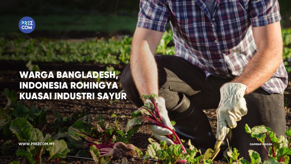 Industri Sayur