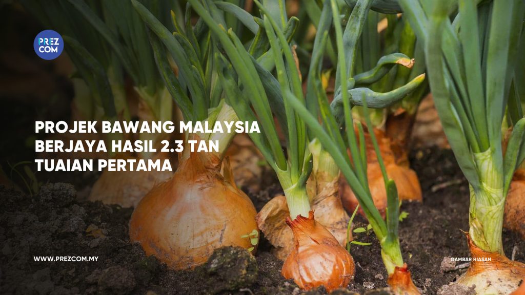 Bawang