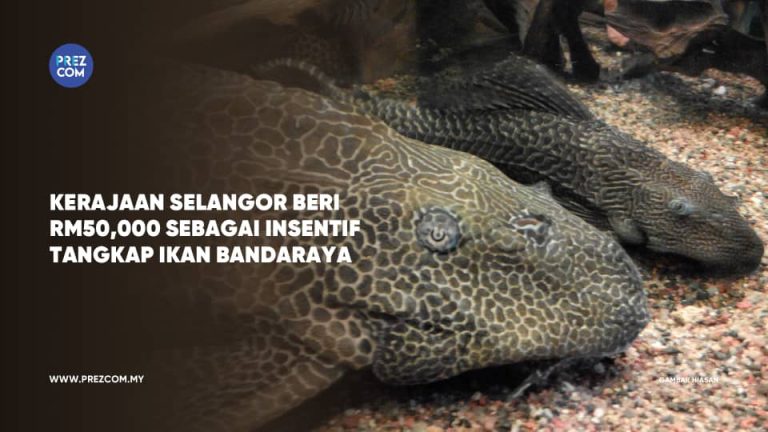 Kerajaan Selangor Beri RM50,000 Sebagai Insentif Tangkap Ikan Bandaraya