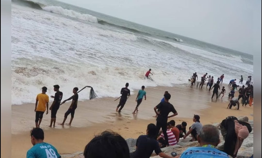 Jangan Makan Lagi Kerang Yang Dikutip Di pantai Sura.