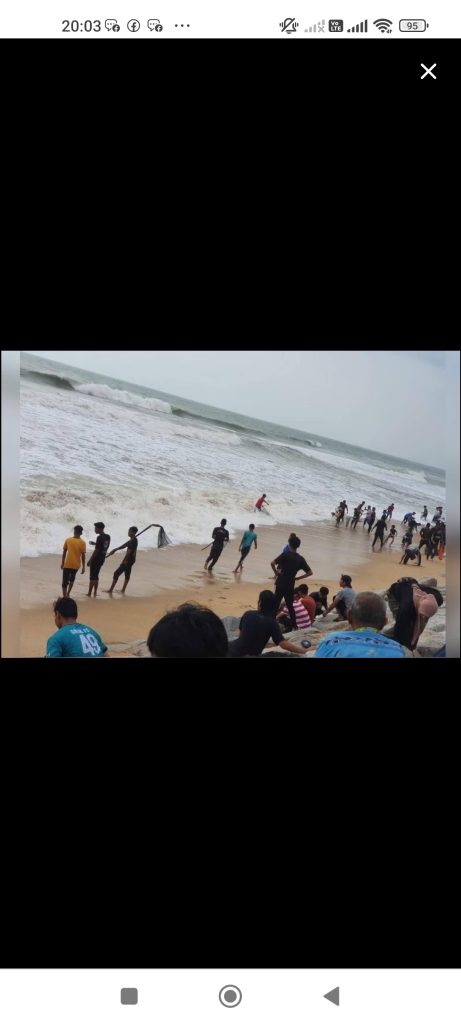 Jangan Makan Lagi Kerang Yang Dikutip Di pantai Sura.